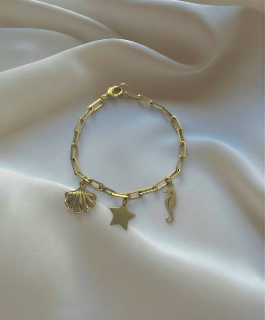 Pulsera de mar - 18 cm